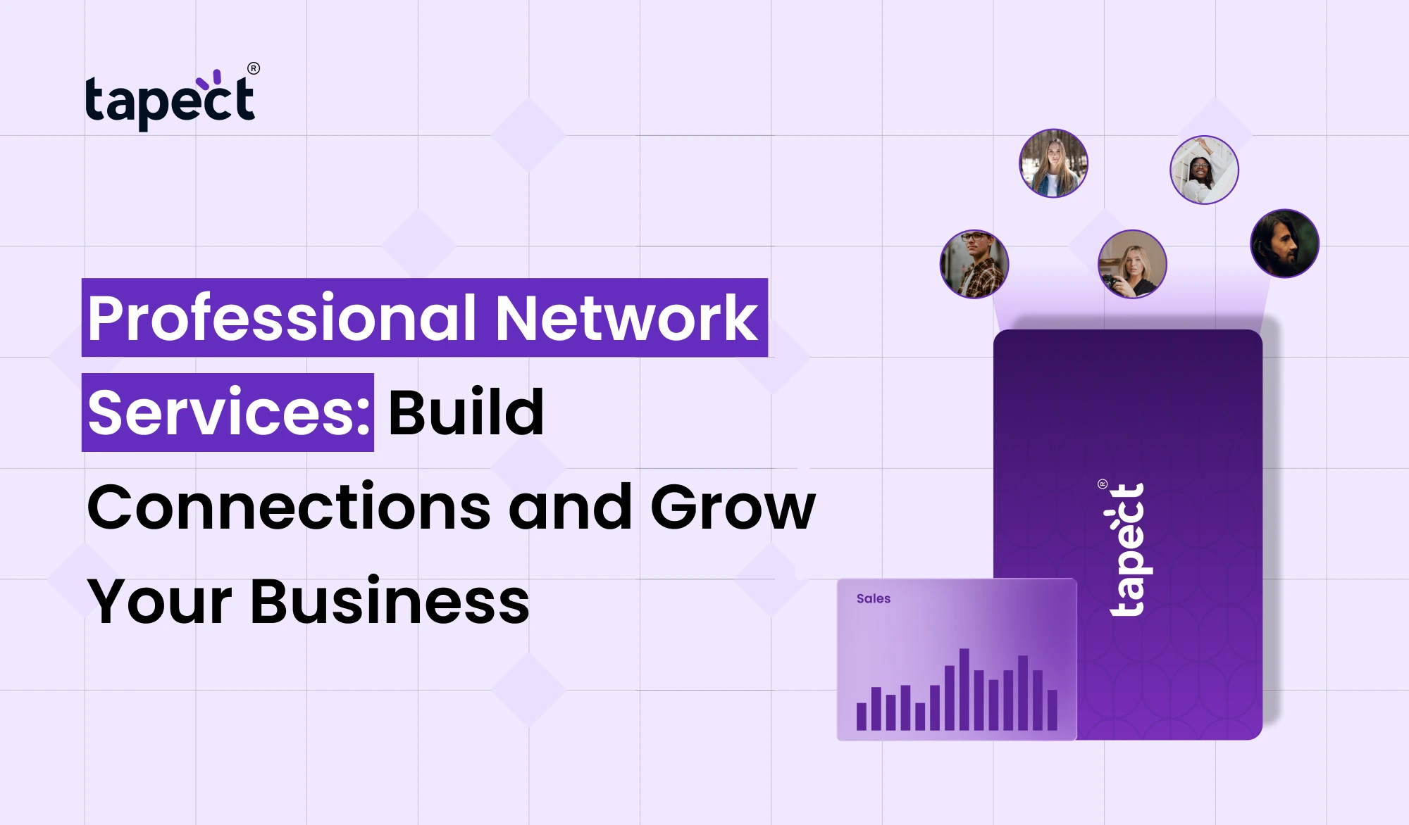 Professional Network Services